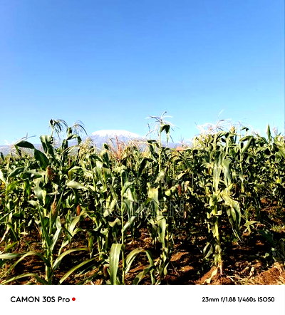 20 Acres Loitoktok Entonet Area. - Image 5