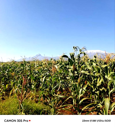 20 Acres Loitoktok Entonet Area. - Image 9