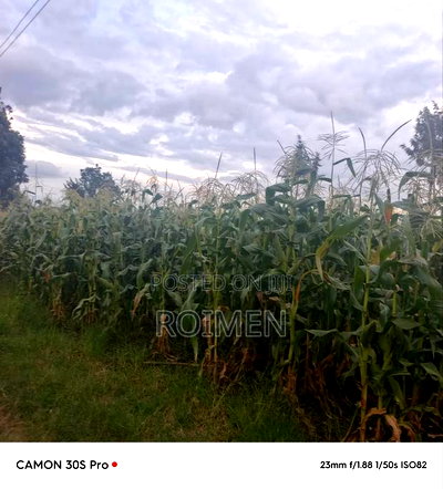 20 Acres Loitoktok Entonet Area. - Image 13