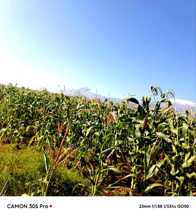 20 Acres Loitoktok Entonet Area. - Image 10