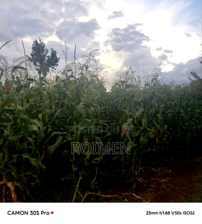 20 Acres Loitoktok Entonet Area. - Image 14