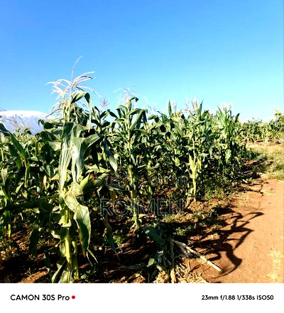 20 Acres Loitoktok Entonet Area. - Image 11