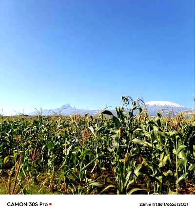 20 Acres Loitoktok Entonet Area. - Image 8