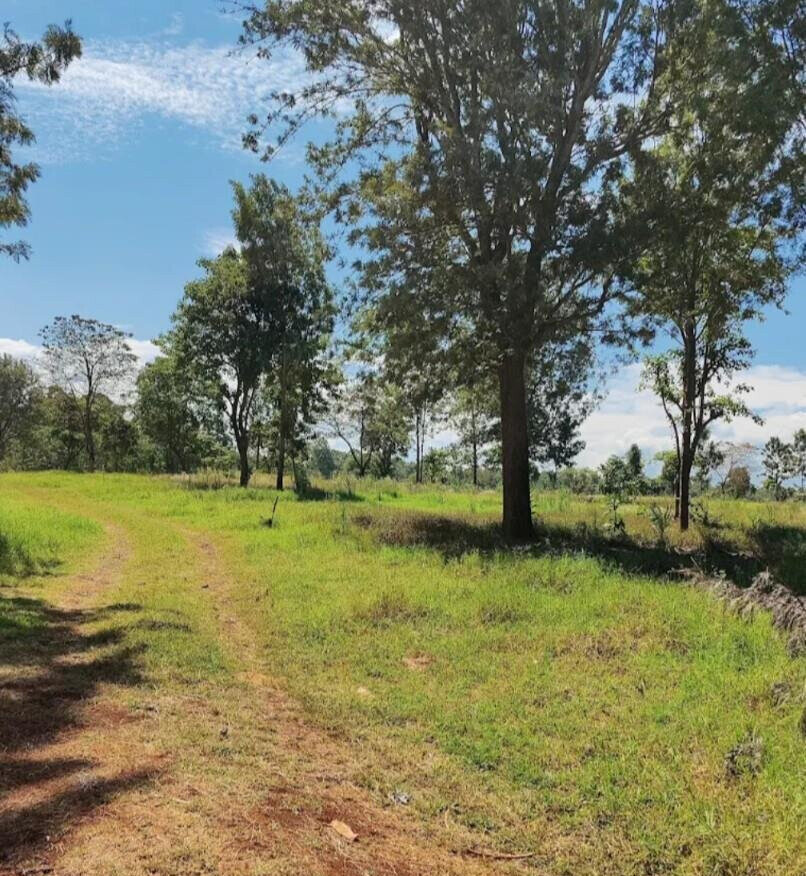 Garden Plot with Parking at KSh 3.3M