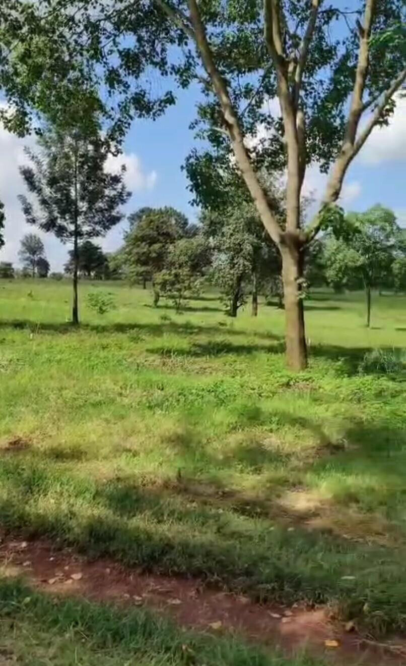 Garden Plot with Parking at KSh 3.3M