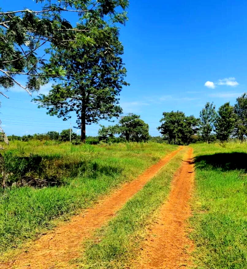 Garden Plot with Parking at KSh 3.3M