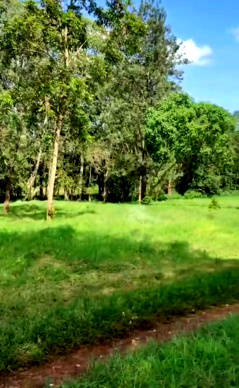 Garden Plot with Parking at KSh 3.3M