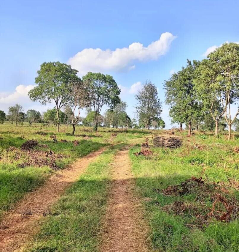 Garden Plot with Parking at KSh 3.3M