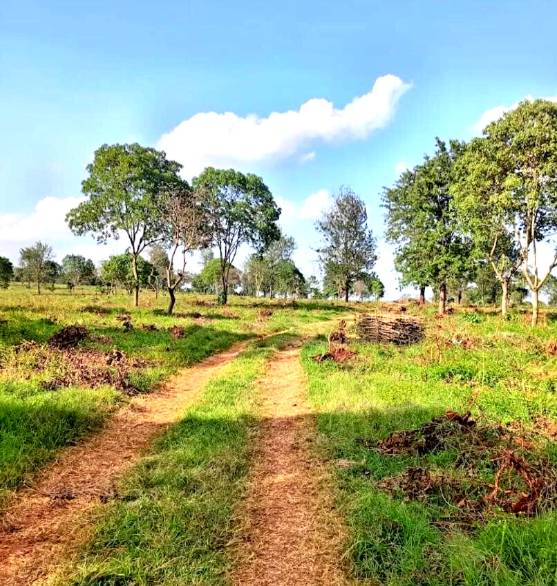 Garden Plot with Parking at KSh 3.3M