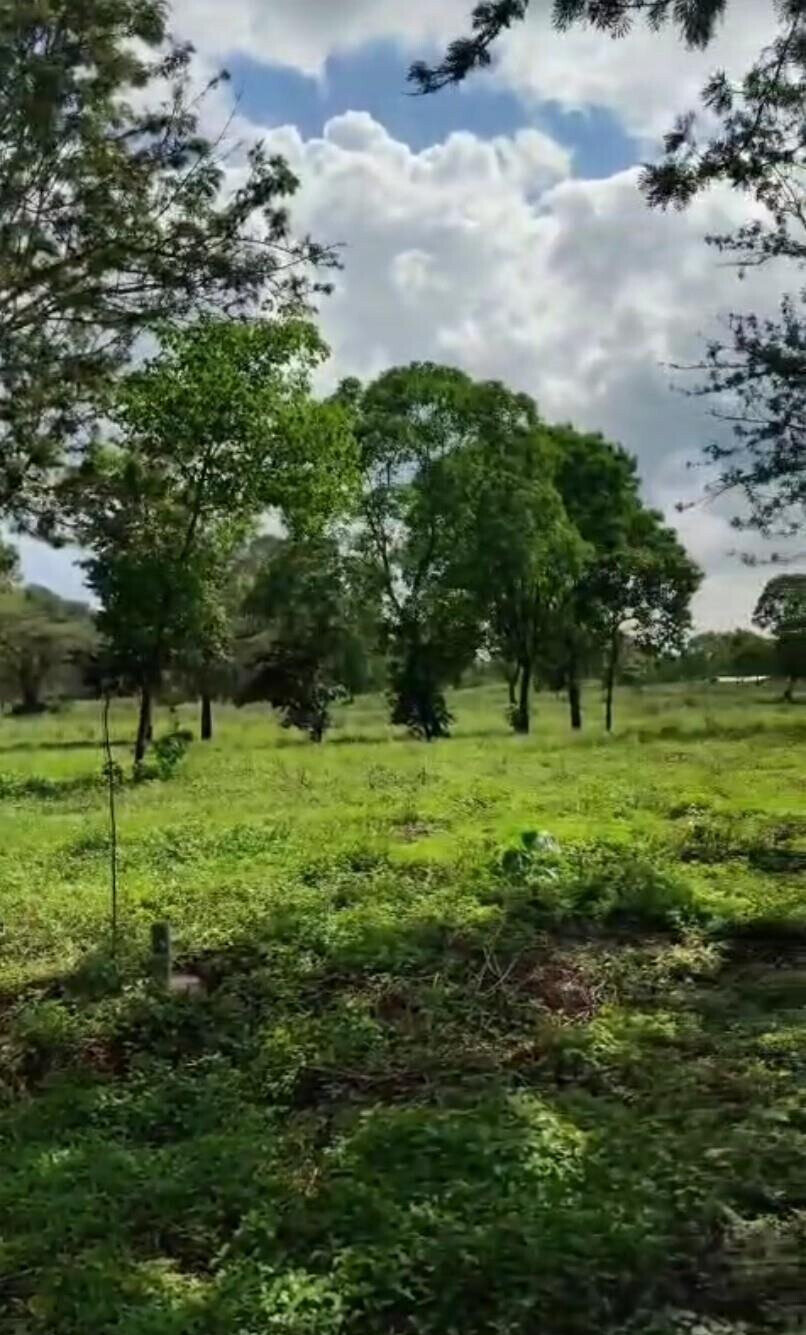 Garden Plot with Parking at KSh 3.3M