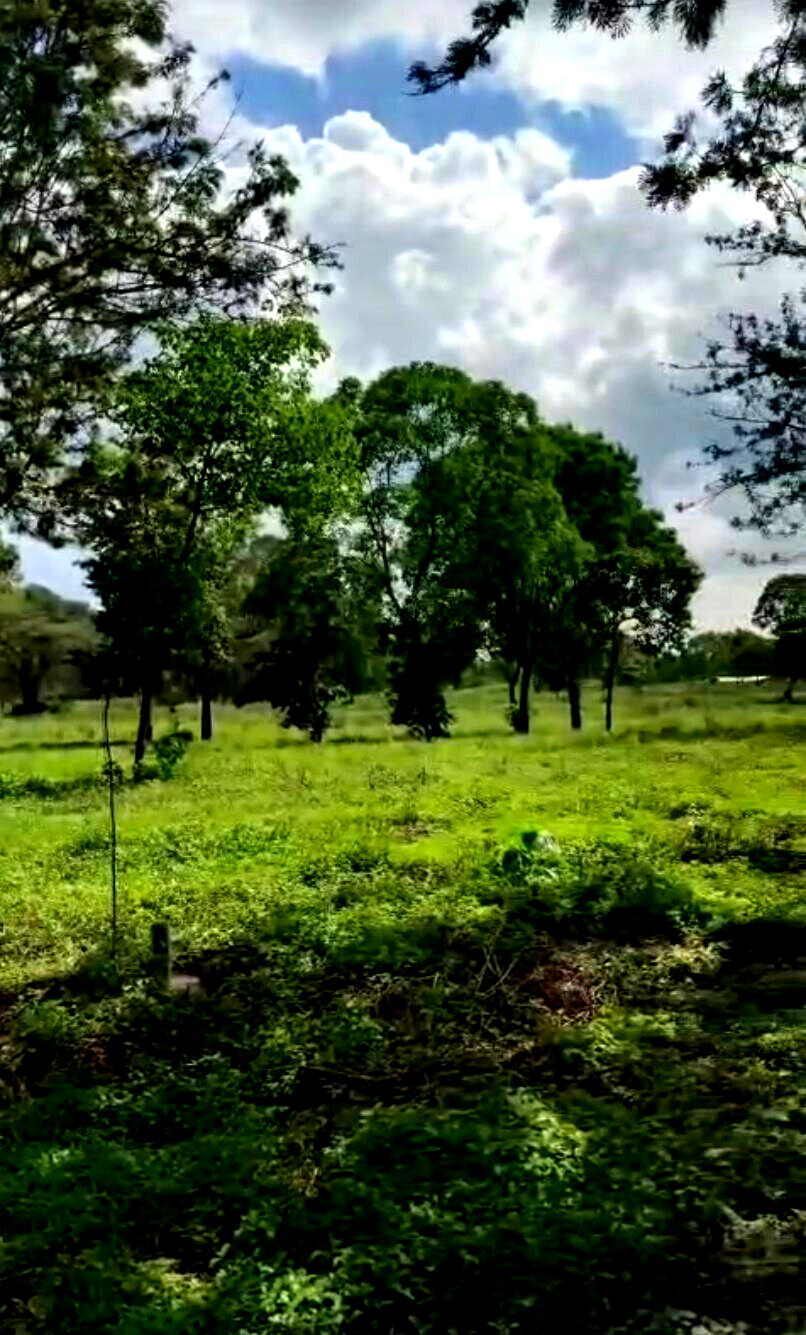 Garden Plot with Parking at KSh 3.3M