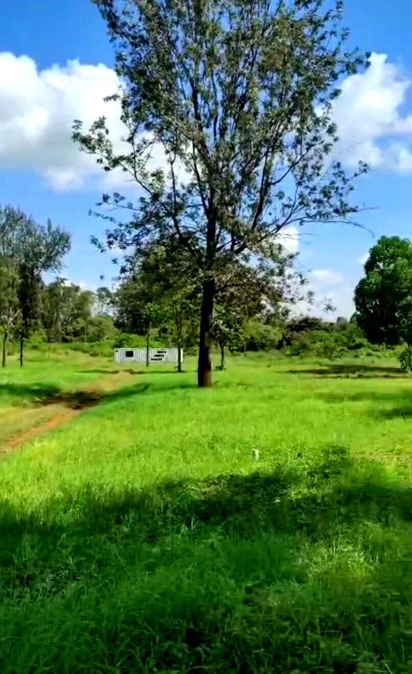 Garden Plot with Parking at KSh 3.3M