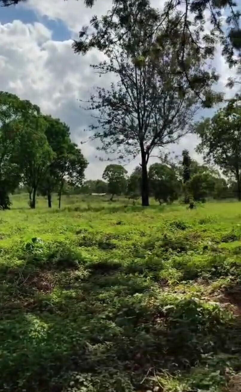 Garden Plot with Parking at KSh 3.3M