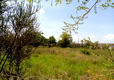 1 Acre Garden Plot with Parking at KSh 45M