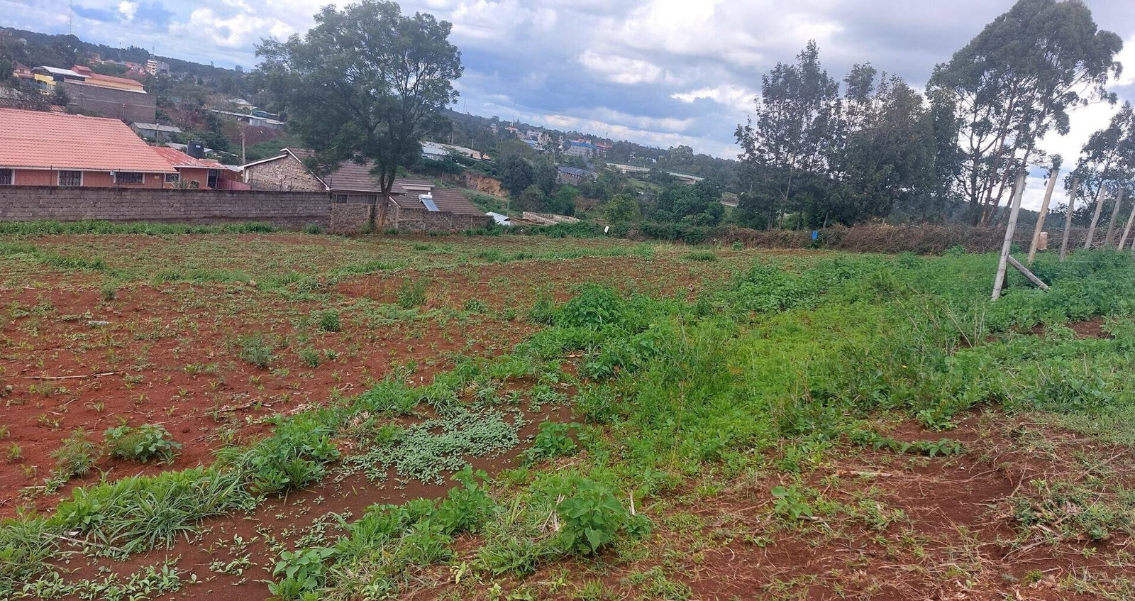 Quarter Acre Garden Plot in Ngong CBD