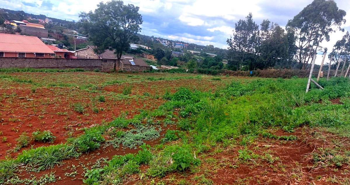 Quarter Acre Garden Plot in Ngong CBD