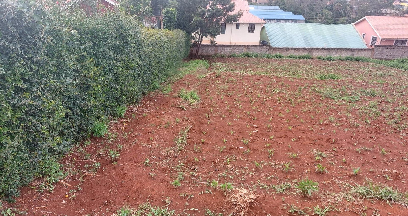 Quarter Acre Garden Plot in Ngong CBD