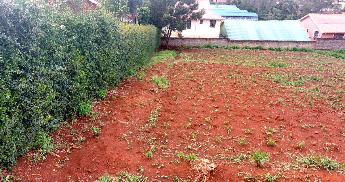 Quarter Acre Garden Plot in Ngong CBD