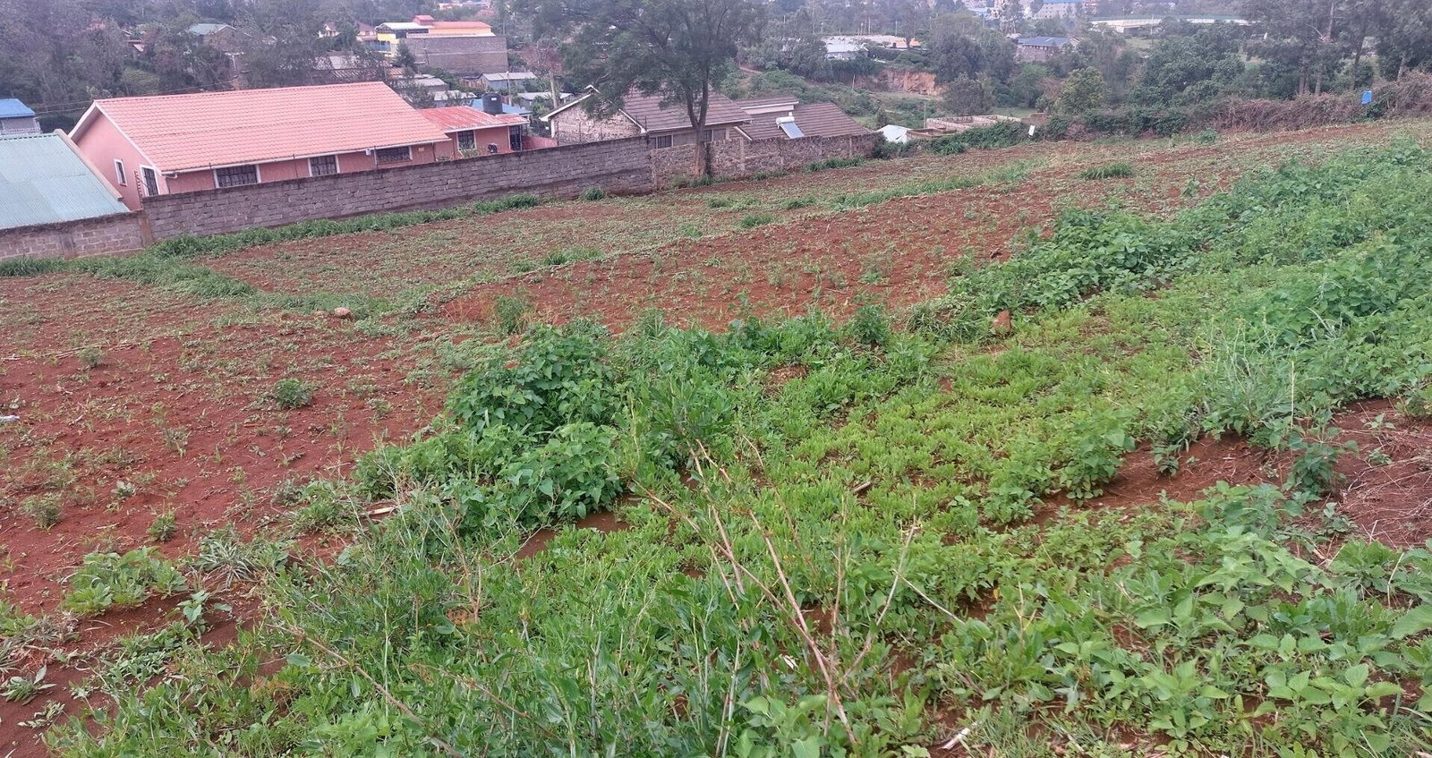 Quarter Acre Garden Plot in Ngong CBD