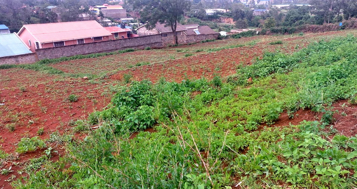 Quarter Acre Garden Plot in Ngong CBD