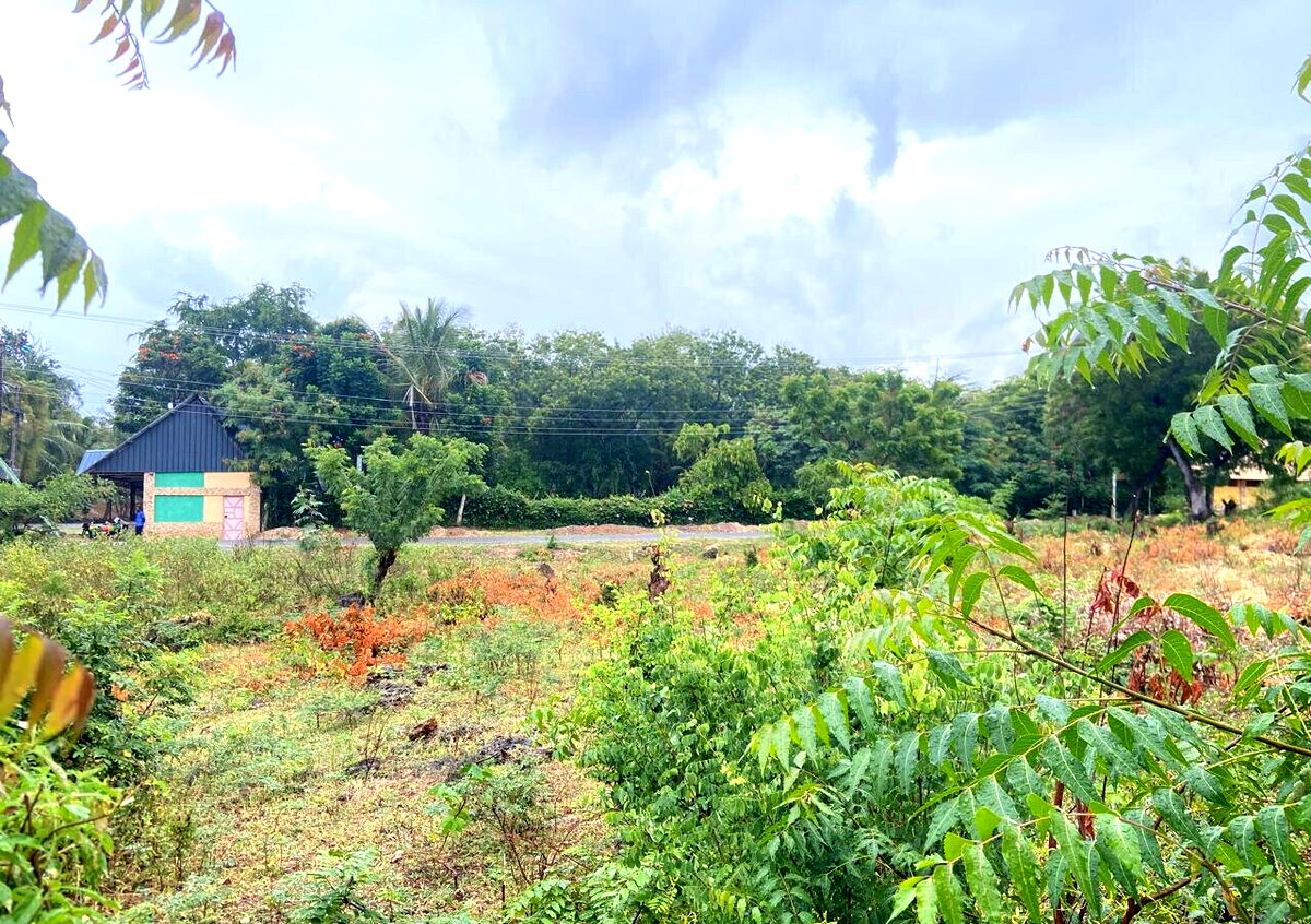 Quarter Acre Garden Plot at KSh 6M