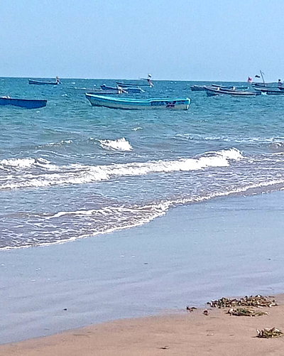 4-Acre Beachfront Plot in Shella