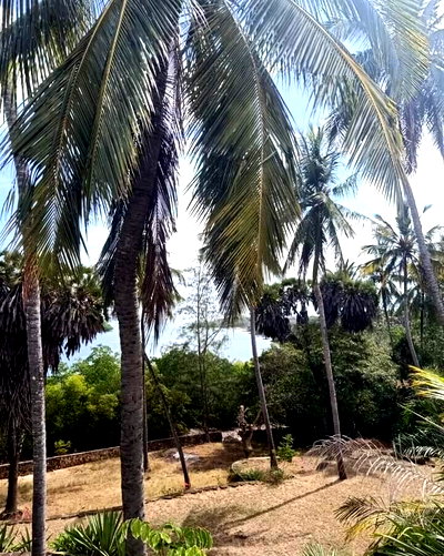 1/4 Acre Shanzu Plot for KSh 18M