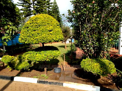 6bdrm Maisonette in Matasia for Sale - Image 5