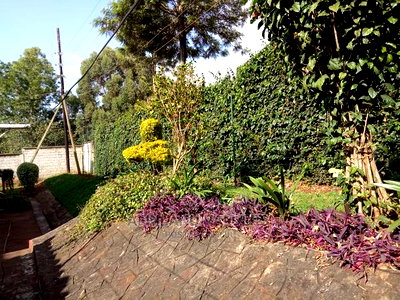 6bdrm Maisonette in Matasia for Sale - Image 7