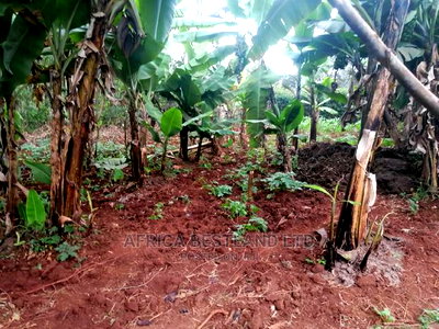 50x100 Ft Plot for Sale in Kinoo Kwa Chief - Image 2