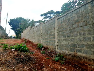 50x100 Ft Plot for Sale in Kinoo Kwa Chief - Image 5