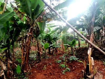 50x100 Ft Plot for Sale in Kinoo Kwa Chief - Image 4