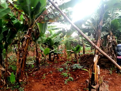 50x100 Ft Plot for Sale in Kinoo Kwa Chief - Image 3