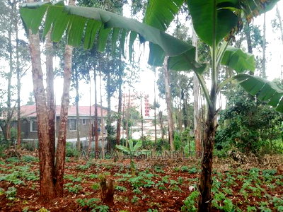 50x100 Ft Plot for Sale in Kinoo Kwa Chief - Image 1
