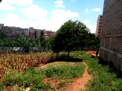 66 by 33 Plot for Sale at Ngumba Estate - Image 3