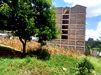 66 by 33 Plot for Sale at Ngumba Estate - Image 6