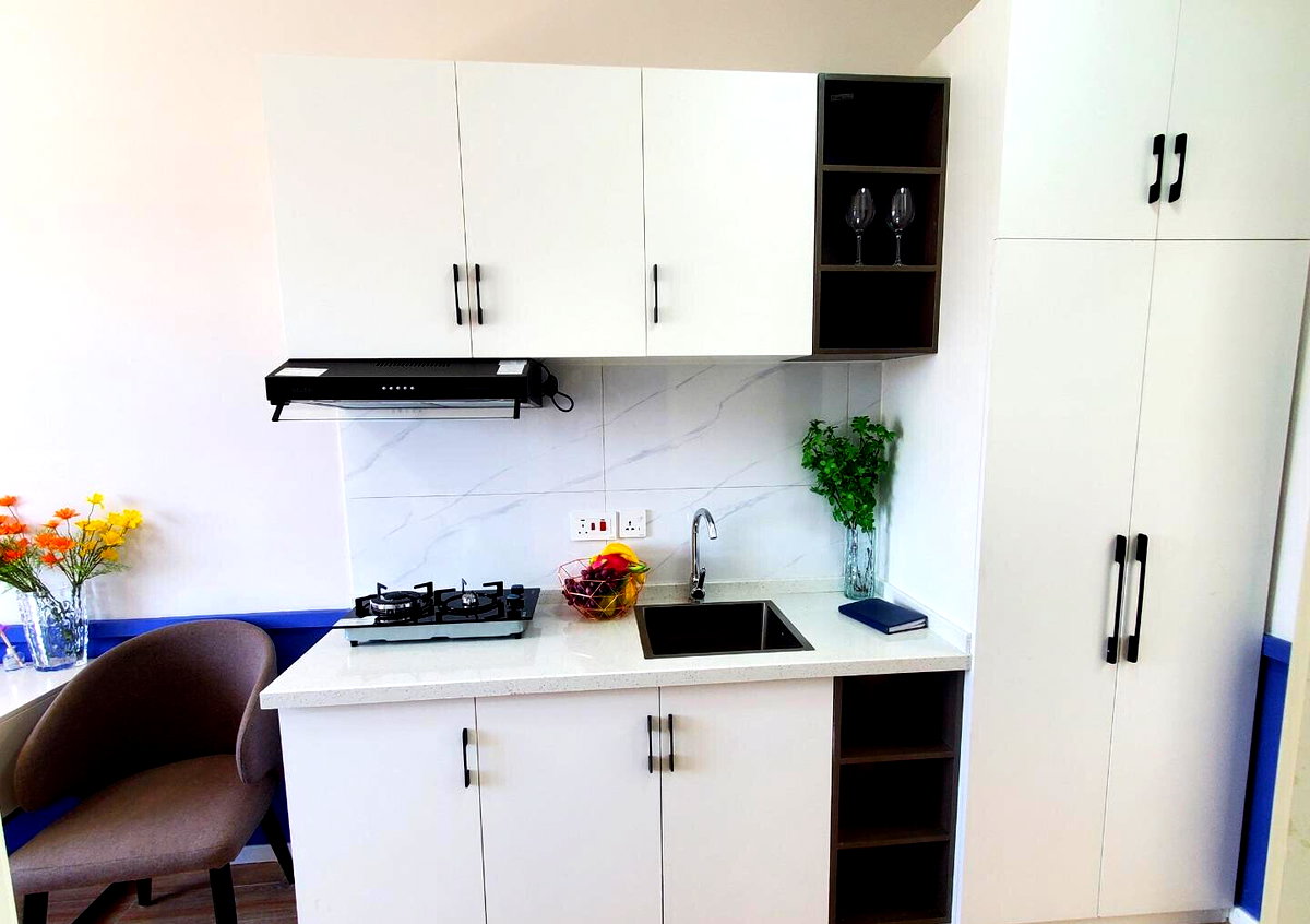 Studio Apartment Walking Distance to Junction Mall - Dagoretti