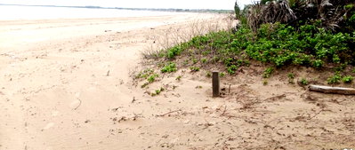 1/2 Acre Oceanfront Plot at KSh 4.9M