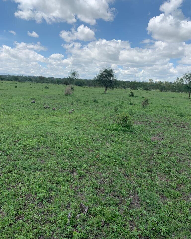 5-Acre Land in Kajiado CBD at KSh 5.5M