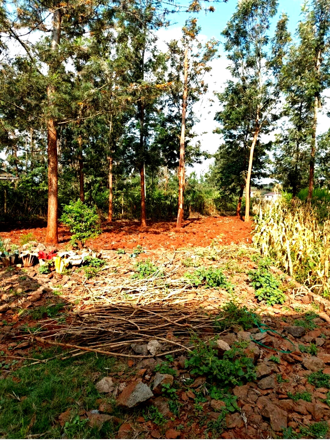 1 Acre Plot in Ruiru for KSh 24M