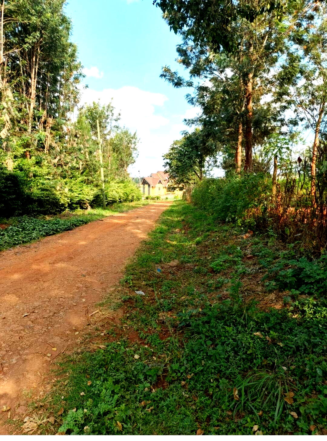 1 Acre Plot in Ruiru for KSh 24M