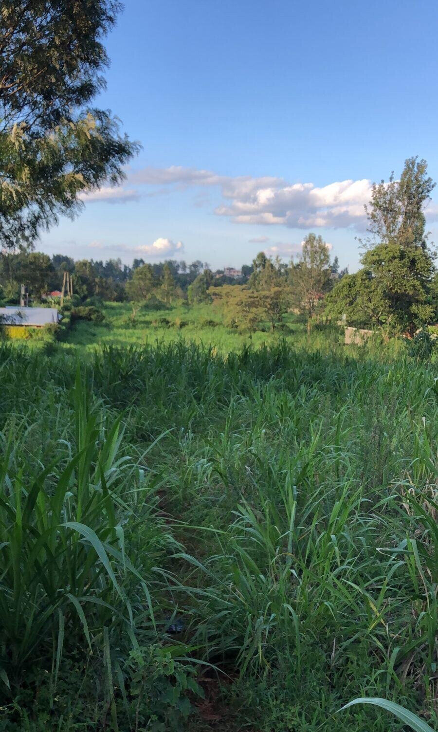 2-Acre Land with Tarmac Access - Kiambu