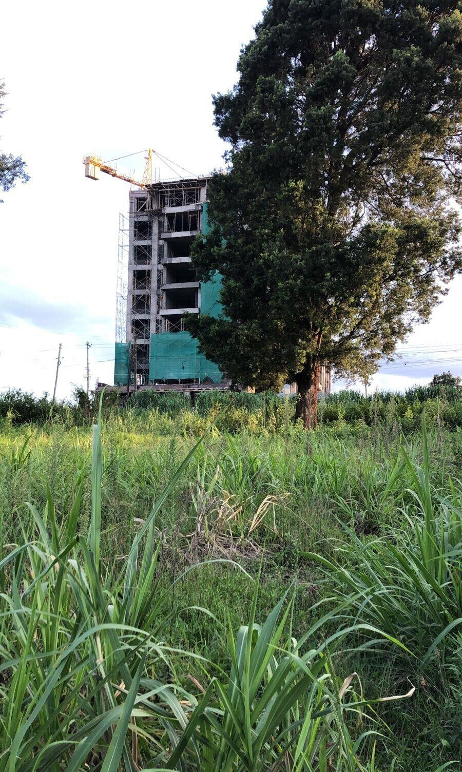 2-Acre Land with Tarmac Access - Kiambu