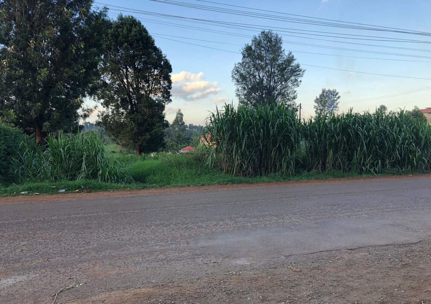 2-Acre Land with Tarmac Access - Kiambu