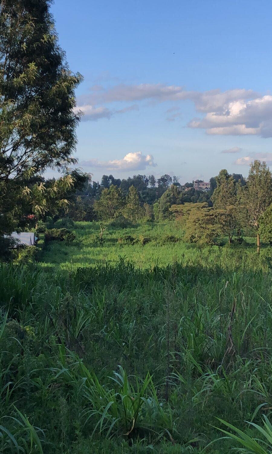 2-Acre Land with Tarmac Access - Kiambu