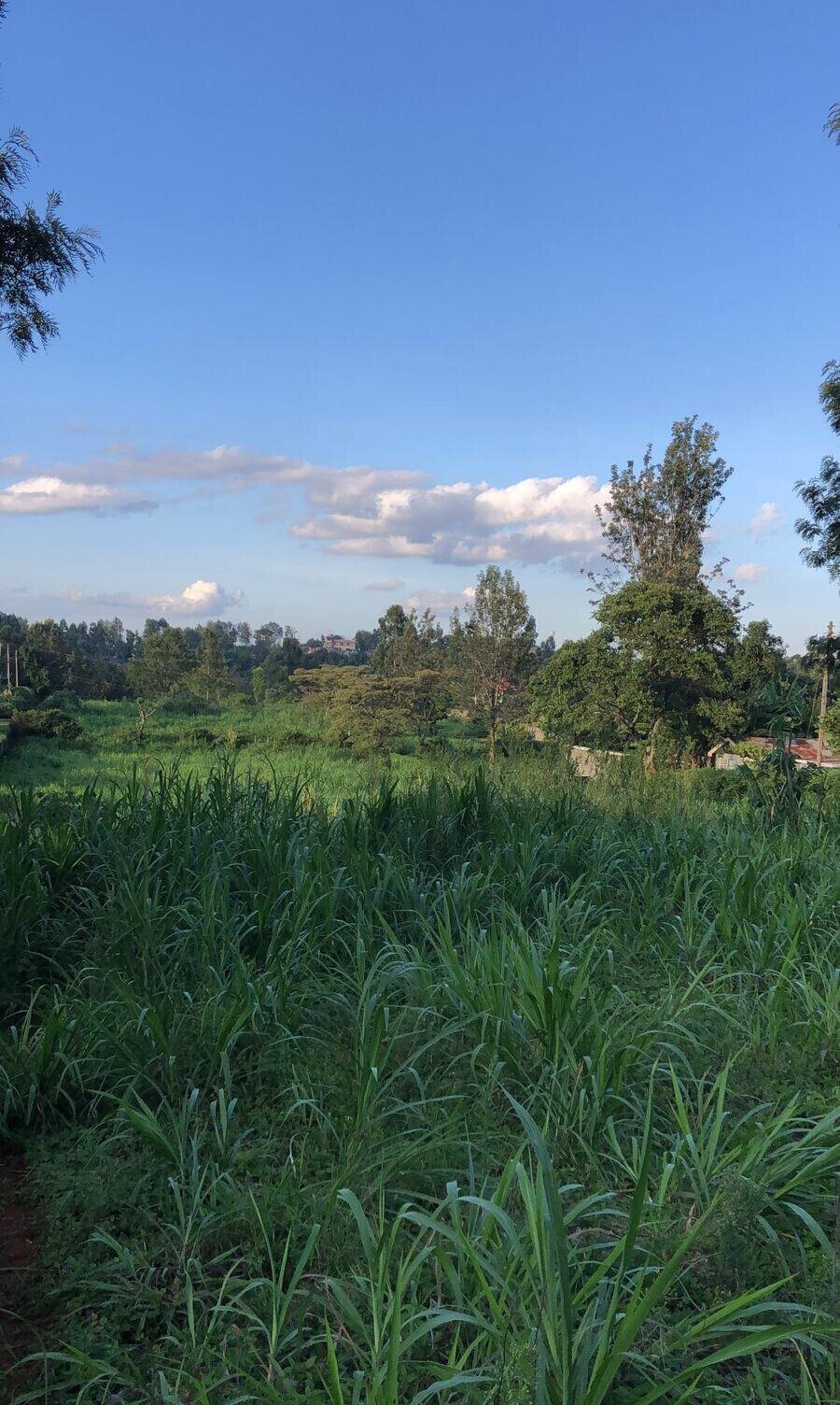 2-Acre Land with Tarmac Access - Kiambu