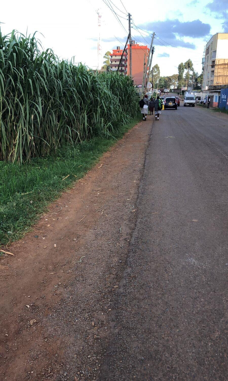 2-Acre Land with Tarmac Access - Kiambu