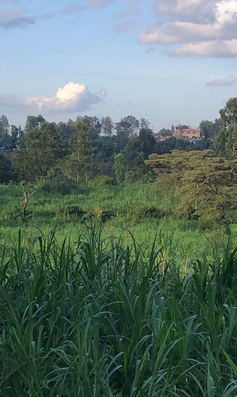 2-Acre Land with Tarmac Access - Kiambu