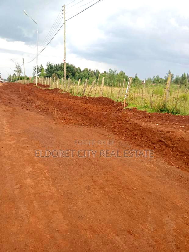 1/8 Plots Racecourse Touching Tarmac