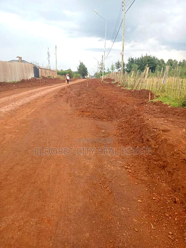1/8 Plots Racecourse Touching Tarmac